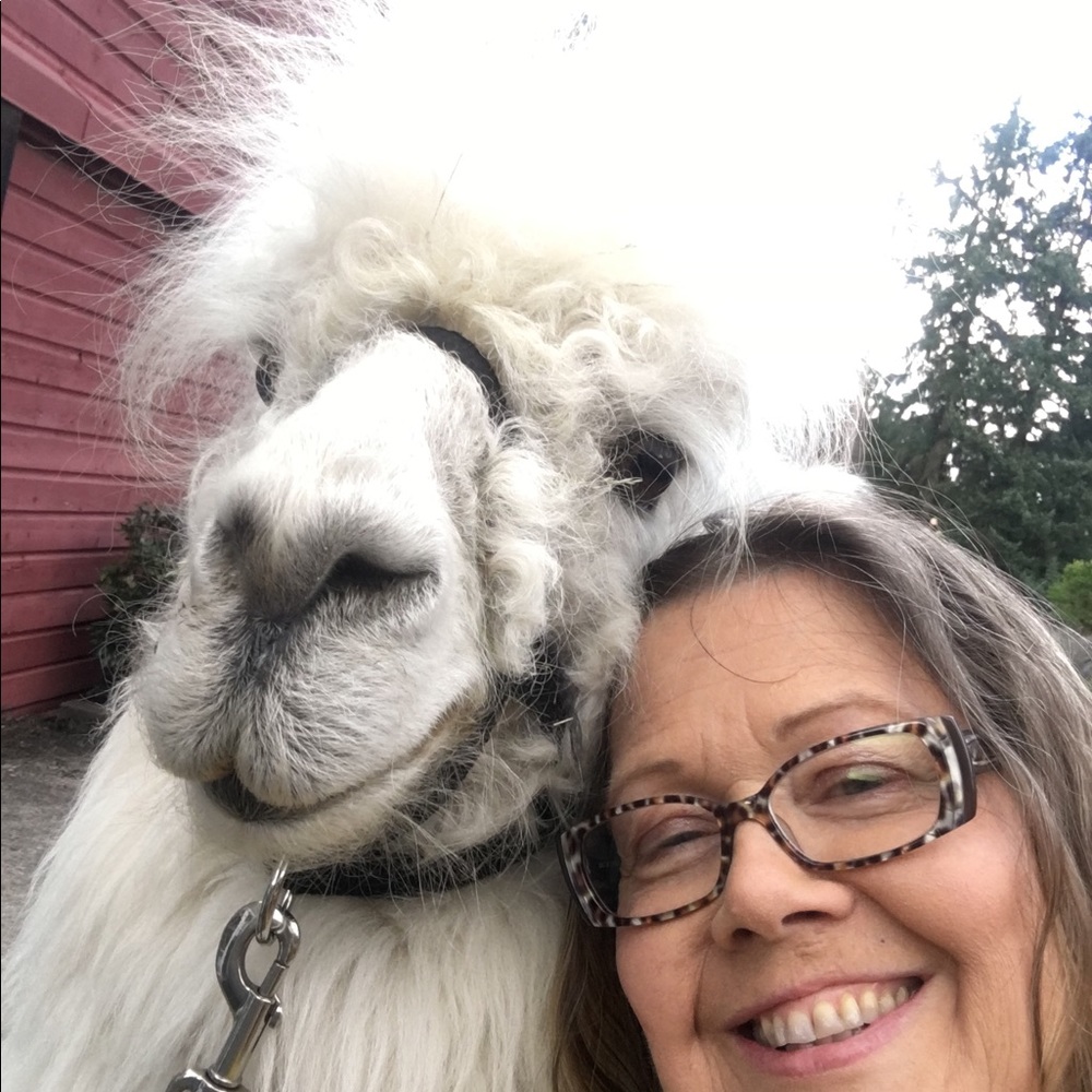 Meet your Posher, Toni